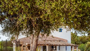 Property grounds - Villa Rose Sardinia 200m from the Beach – Private Pool & Garden (Calasetta)