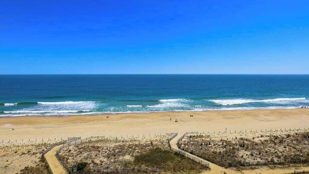 Ein Strand mit blauem Himmel, sandigem Ufer und einem eingezäunten Dünenbereich.