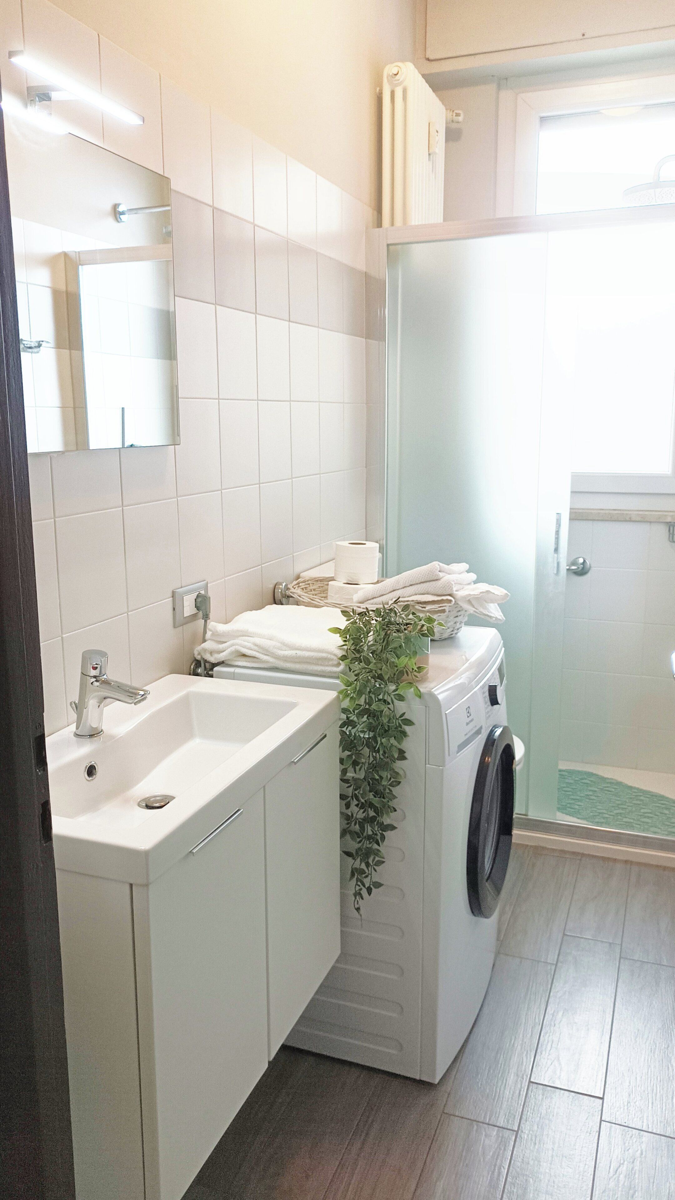 Shower, hair dryer
