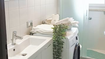 Shower, hair dryer