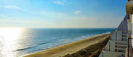 På stranden