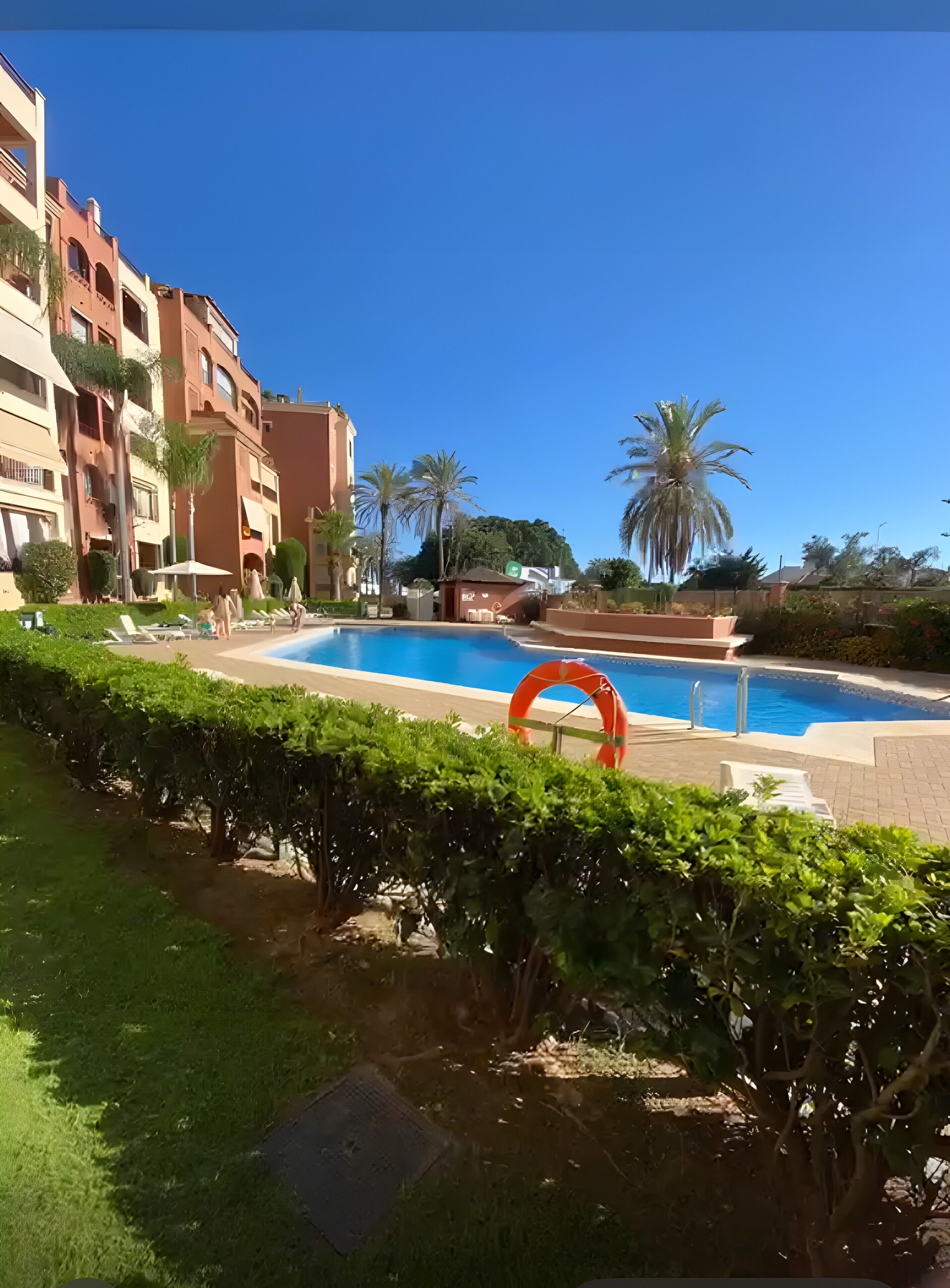 A swimming pool with a palm tree and a hedge in the foreground, surrounded by buildings.