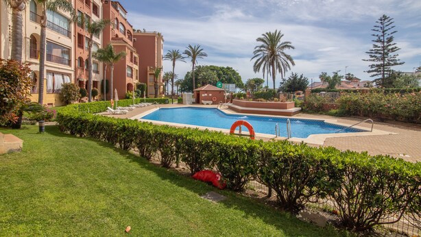 A swimming pool surrounded by a well-maintained lawn, palm trees, and a multi-story building with balconies.