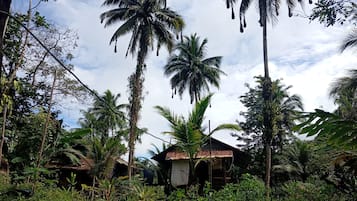 Cabin, 1 Bedroom, Smoking, Patio | Garden