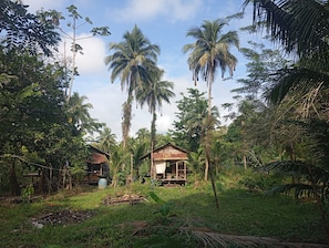 A rural setting with two thatched-roof huts surrounded by dense tropical vegetation and tall palm trees.