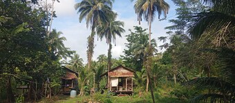 Charming Cabin Retreat in Buenaventura With Garden & BBQ