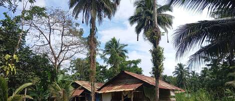 Cabin, 1 Bedroom, Smoking, Patio | Exterior
