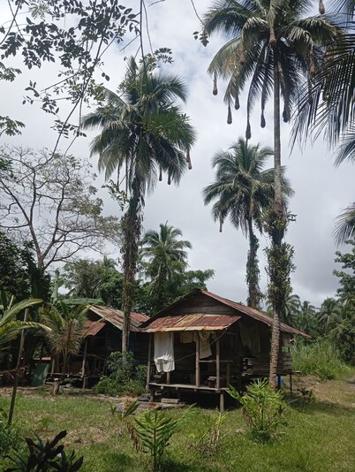 Charming Cabin Retreat in Buenaventura With Garden & BBQ