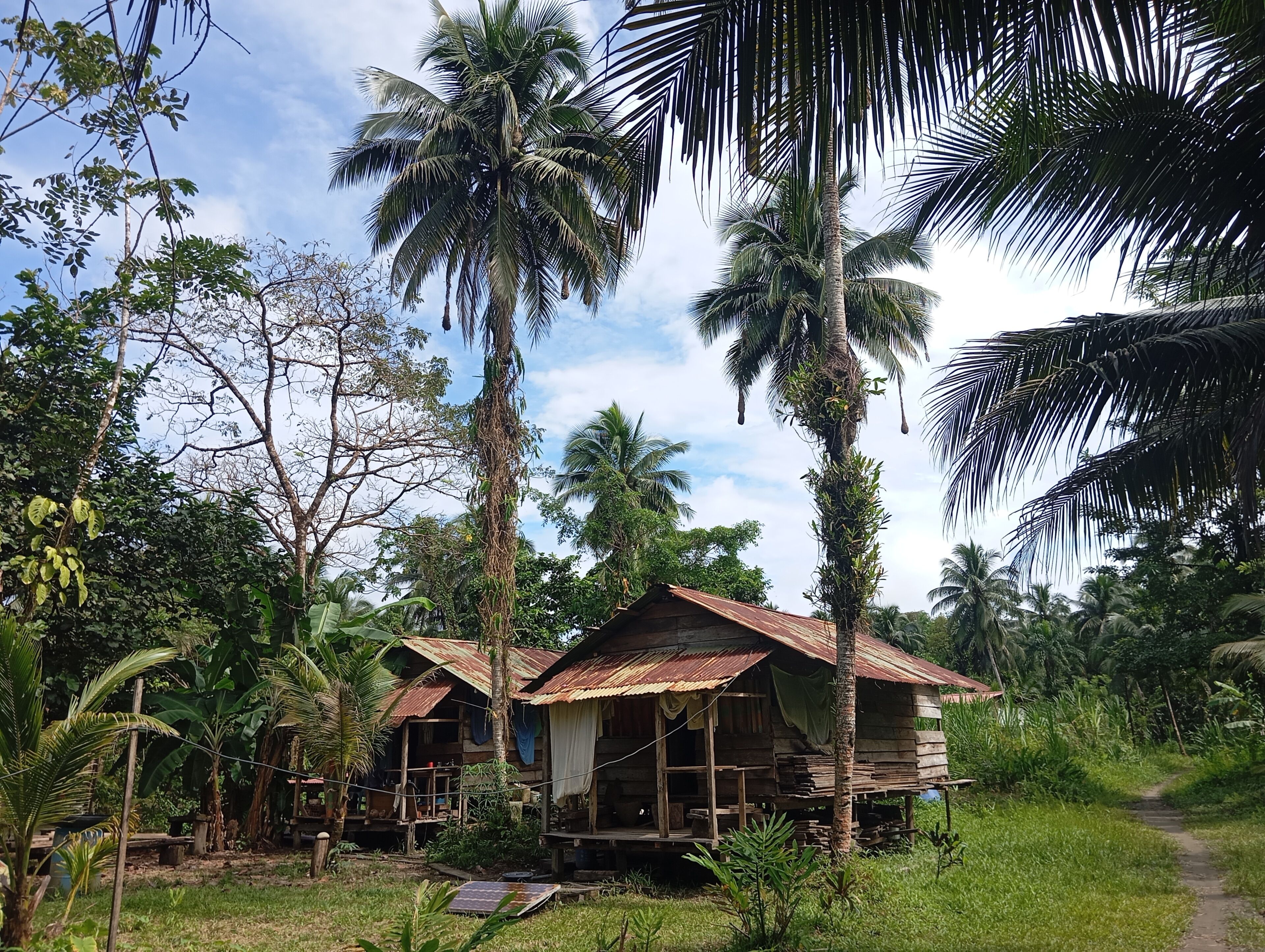 Cabin, 1 Bedroom, Smoking, Patio | Exterior