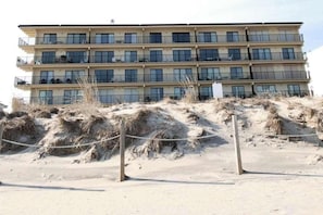 A multi-story hotel with balconies, located on a sandy beach with dunes in the foreground. - Oceanfront Condo w/ Balcony, Ocean View, Central AC, W/D & Beach Access (Ocean City)