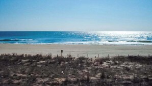A beach with a clear sky, sandy shore, and sparse vegetation.