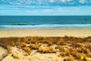 A beach with sand, grass, and the ocean. - Purnell House 402 (Ocean City)