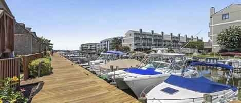 Marina