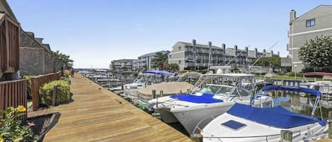 Marina