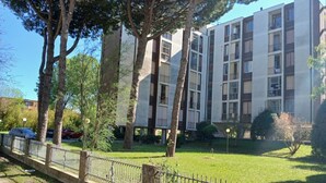A multi-story residential building with a grassy courtyard, trees, and a metal fence. - CN040 ​​- Cesenatico, four-room apartment with balcony and parking, 30 meters from the sea. (Cesenatico)