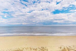 Ein Strand mit blauem Himmel und ruhiger See.