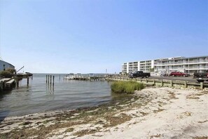 Beach - Attractive and Spacious Vacation Suite Near Bay & Beach w/Shared Pool, Free WiFi (Ocean City)