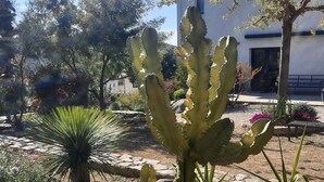 A cactus garden with a stone pathway, a yucca plant, and a building in the background. - Guest Room “Chambre Albatre” with Sea View, Wi-Fi and Air Conditioning (Palasca)