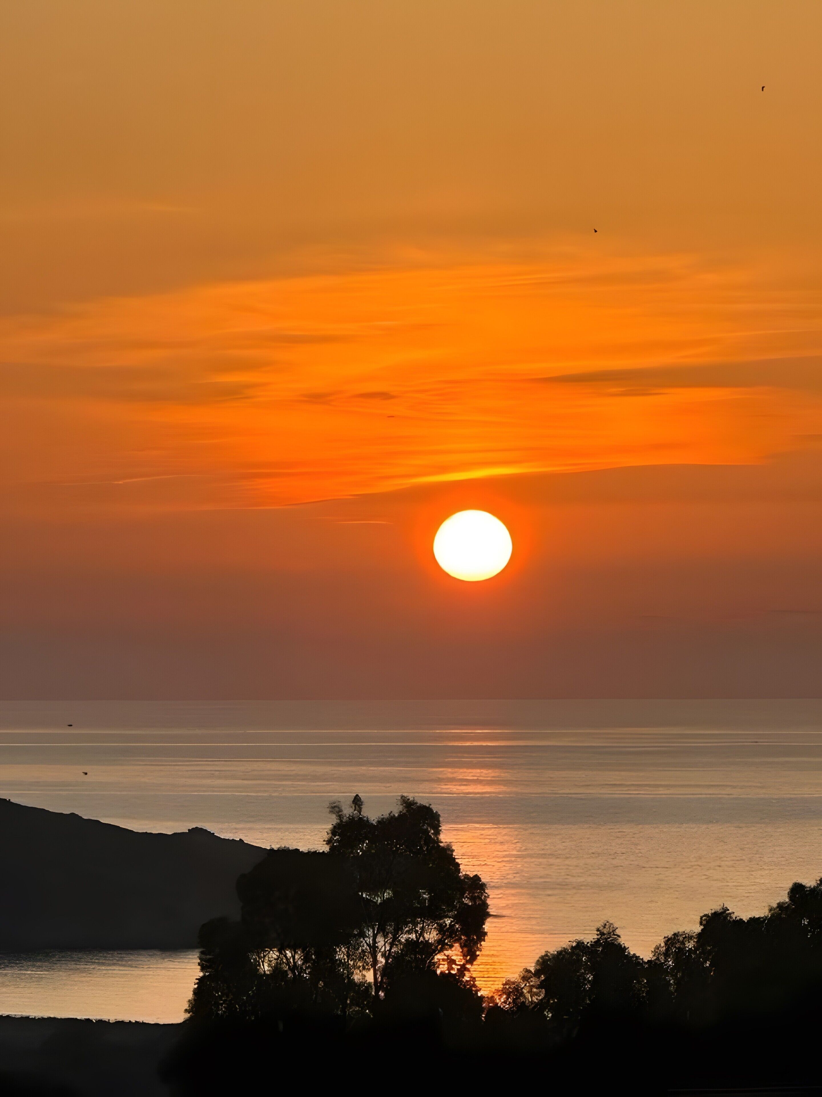 A sunset over a calm sea with silhouettes of trees and distant hills.