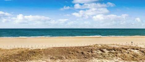 A beach with a fence, a grassy area, and the ocean.
