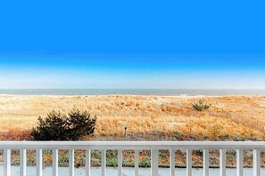 Property grounds - Breakwater II 202 (Ocean City)