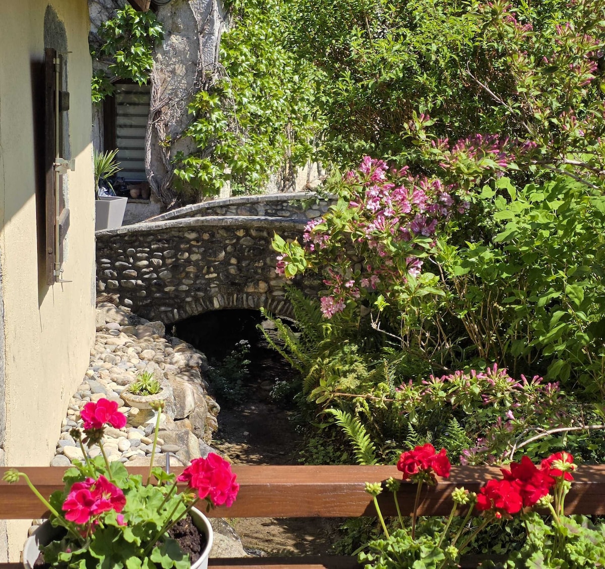 Image de profil de l’hôte