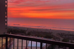 Property grounds - Irene 607 (Ocean City)