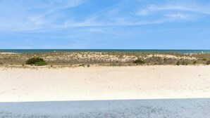 Ein Strand mit klarem Himmel, sandigem Ufer und spärlicher Vegetation.