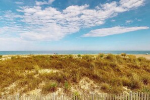 Ein Strand mit Dünen und einem Holzzaun.