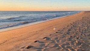 A beach with footprints and a bird on the sand. - Upscale ocean view condo with pool access & balcony - walk to beach, restaurants (Ocean City)