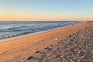 A beach with footprints and a bird on the sand. - Upscale ocean view condo with pool access & balcony - walk to beach, restaurants (Ocean City)