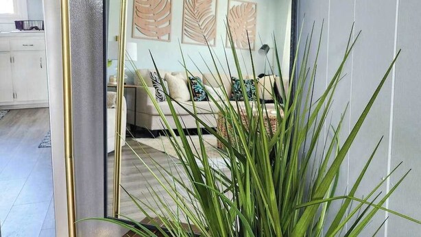 Una sala de estar con un sofá, una mesa de centro y una planta al frente.