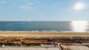 Una playa con cielo despejado, orilla arenosa y una serie de parcelas rectangulares con vegetación.