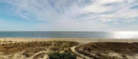 Accommodatie ligt op het strand
