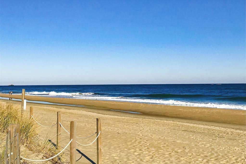 Playa en los alrededores 