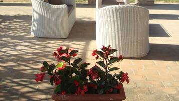 Terrazza/patio