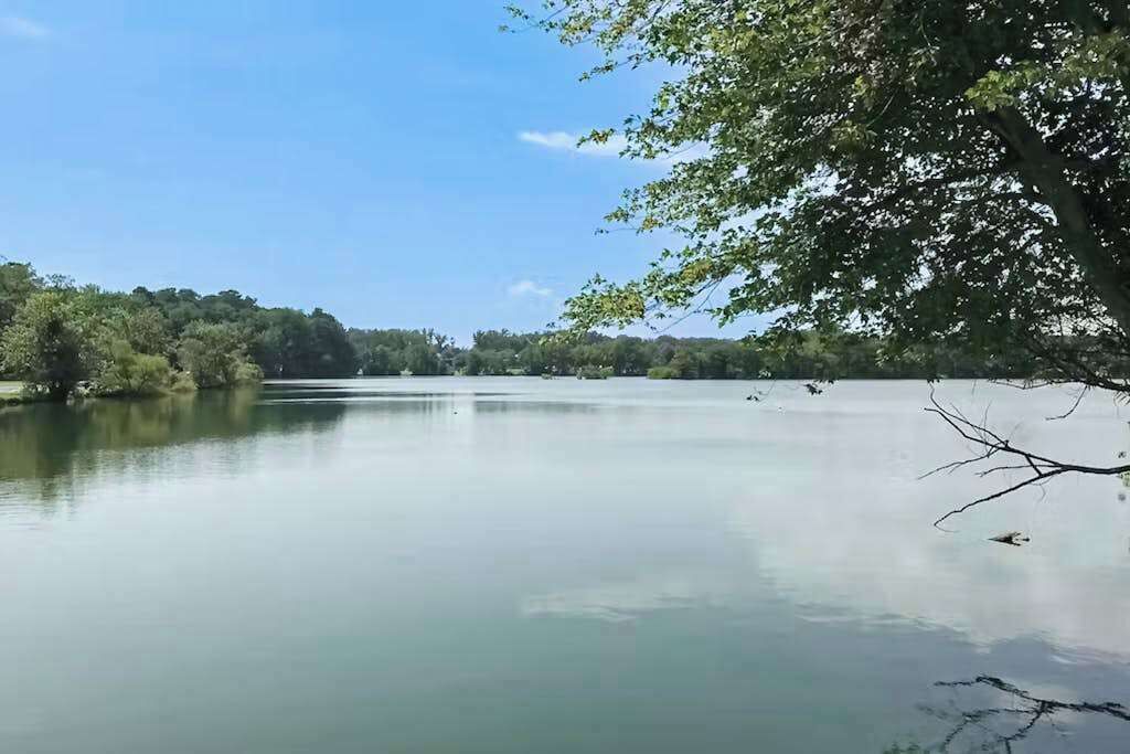 A calm lake with trees and a clear sky.