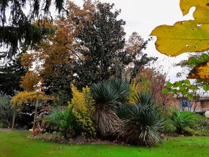 Jardines del alojamiento