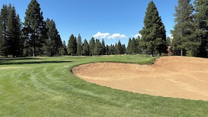 Ein Golfplatz mit gepflegtem Grün, Sandbunkern und hohen Kiefern.