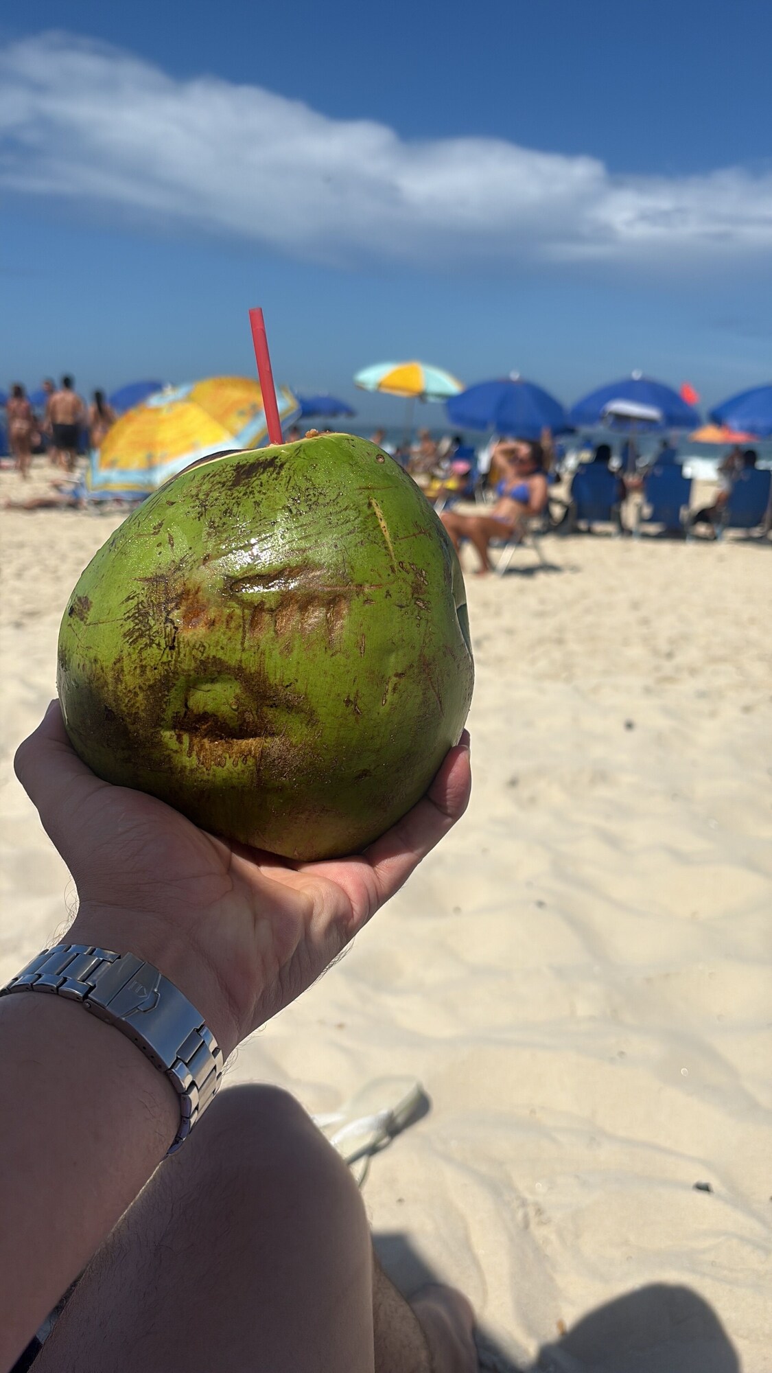 Image de profil de l’hôte