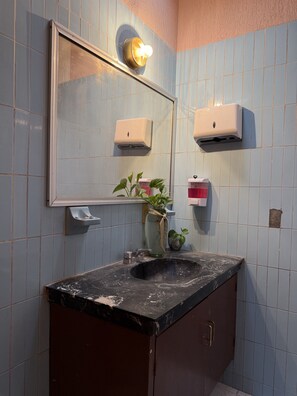 A bathroom with a sink, mirror, towel dispenser, and a potted plant. - PUNTO AMERICANA HOSTAL (Guadalajara)
