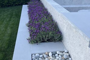 Ein Blumenbeet mit violetten Blüten und einem Kiesweg.