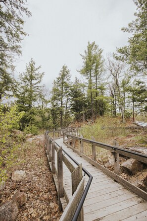 A wooden boardwalk with metal railings, surrounded by trees and rocks.