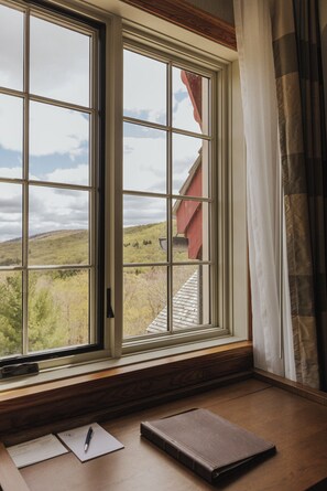 Superior Room, 1 Queen Bed, Park View | View from room