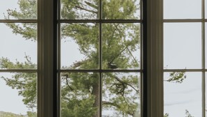 A window with a view of a tree and a body of water.