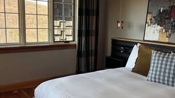 Quarto superior, 1 cama Queen, vista para o parque | Wi-Fi de cortesia