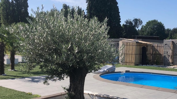 A swimming pool, a wooden deck, and a well-maintained garden with a tree. - Villa Lumina Royale With Swimming Pool (Zutendaal)