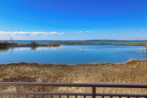 Ruhige Wasserfläche mit einem hölzernen Steg, der ins Wasser ragt, umgeben von trockenem Grasland.