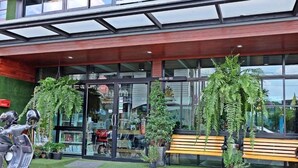 A modern building with large glass windows, a wooden bench, and potted plants.