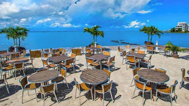 Un espace extérieur aménagé avec des tables et des chaises, des palmiers et une vue sur la mer.